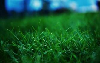 Wallpaper Windows Xp Desktop