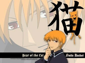 Cat Fruits Basket Wallpaper