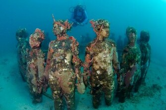 Grenada Underwater Park Picture Photo
