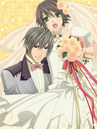 Misaki Usagi Wedding Yaoi Photo