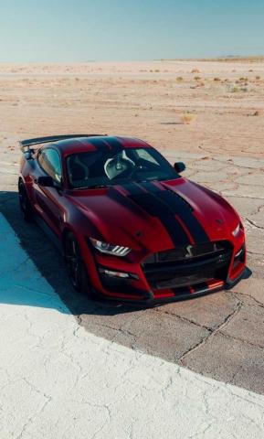 Ford Mustang Shelby Gt500 Pictures Wallpaper Throttlebias