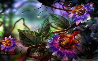 Summer Flowers Orchidea
