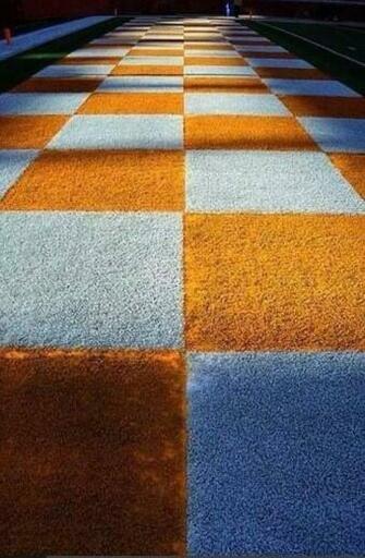 End Zone Butch Jones