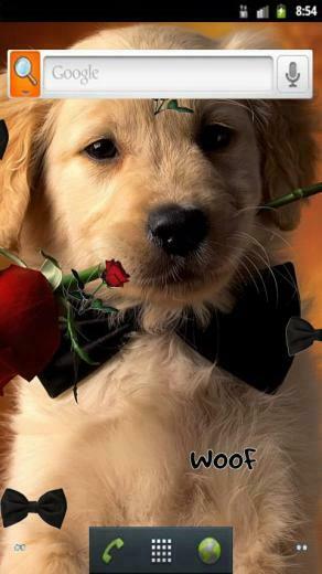 Wallpaper Photo Puppy Html