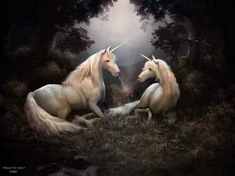 Magical Unicorns Background Hivewallpaper