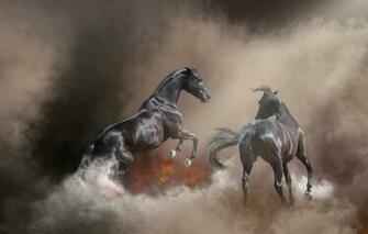 Wallpaper Nature Pose Fog Background Fire Horse