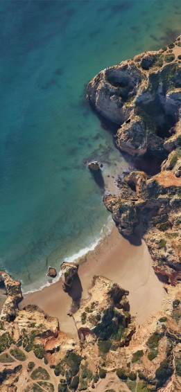 Google Pixel Xl On Afari iPhone Wallpaper