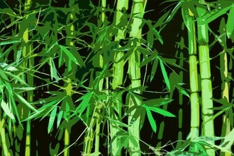 Bamboo Wallpaper HD Topwallpaper