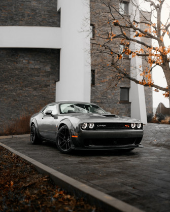 Dodge Pictures Image