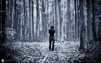 In The Woods Jpg