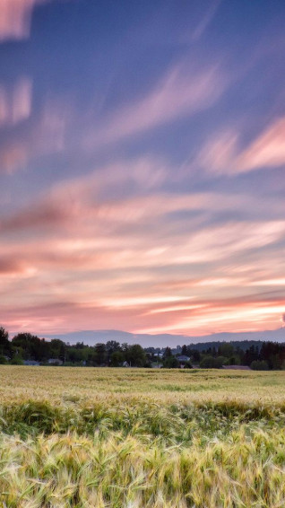 Breathtaking iPhone Wallpaper That Will Remind Canadians Of