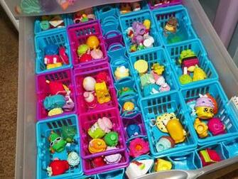 My Daughters Learned While Playing With Shopkins Spkfan
