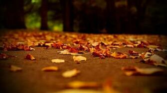 Autumn Wallpaper Best