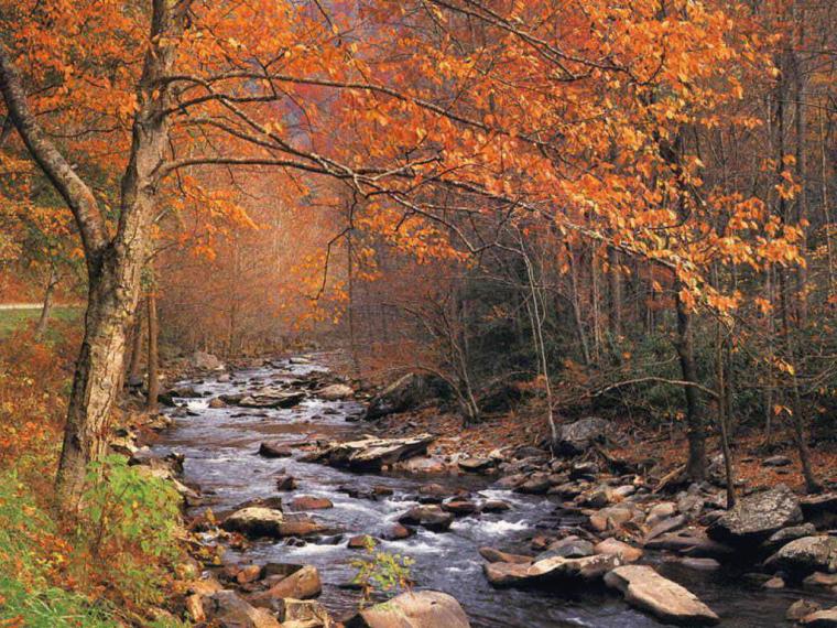 Autumn Wallpaper Scene