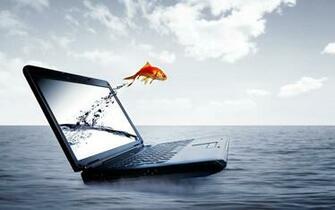 3d Water Fish Wallpaper