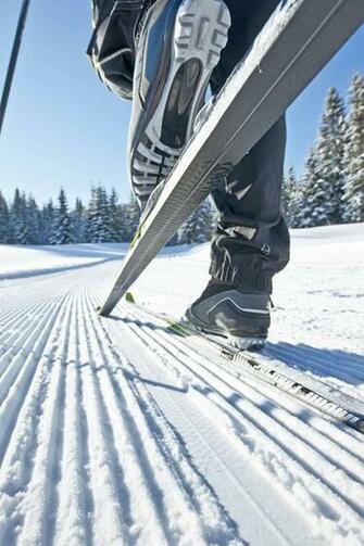 Ski And Snowshoe Solstice Outdoors