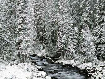 Alberta Winter Full Screen Cool Wallpaper Nature