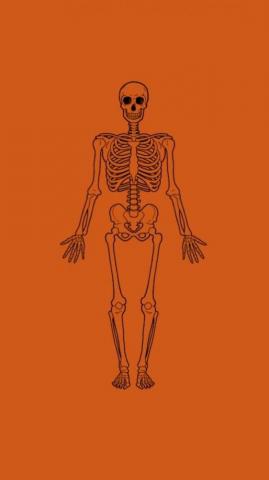 This Is Halloween