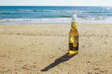 Corona Beer Pictures Image