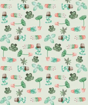 Succulents Cactus Botanical Wallpaper Milton King