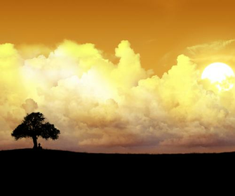 Top Best Android Wallpaper For Your Phone Themescompany