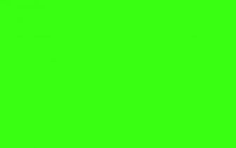 Green Solid Color Background And The Below