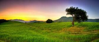 Nature Earth Wallpaper