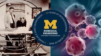 Fifty Years Of Biomedical Engineering And Collaboration