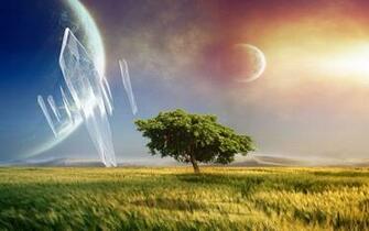 Tree Abstract Realism Wallpaper HD Desktop And Mobile Background
