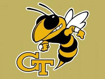 Georgia Tech Yellow Jackets Normal
