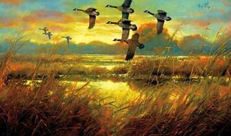 Canadian Geese Wallpaper