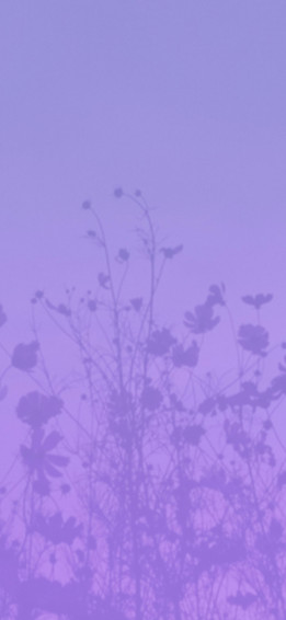 Light Lavender Aesthetic Wallpaper Purple