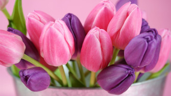 HD Desktop Flower Wallpaper In Psd