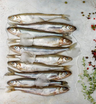 Fresh Smelt Featuring Animal Background And Catch Wallpaper