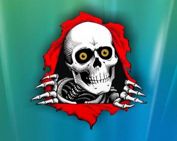 Best Powell Peralta Wallpaper