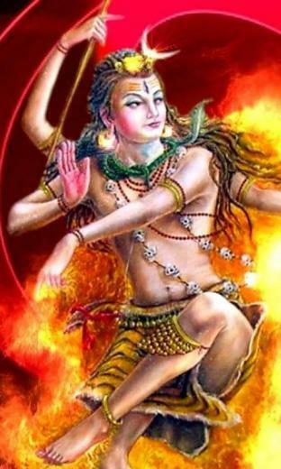 Shiva God Wallpaper HD 3d Lord