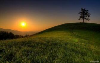 Wallpaper Nature Sunshine And Trees