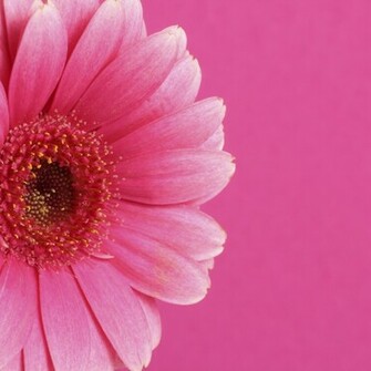 Wallpaper Background Amazing 3d