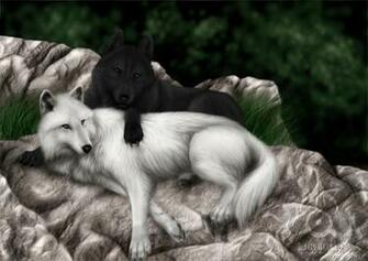 Memorias De Un Bohemio Lobo Y Loba