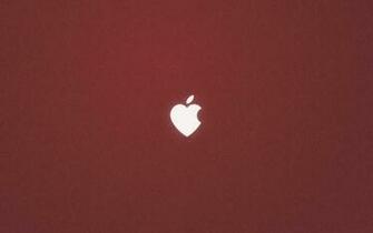 Apple Love Wallpaper Stock Photos