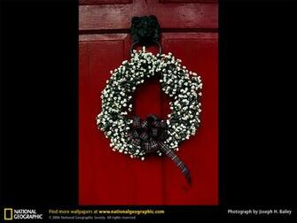 Of The Day Picture Photography Wallpaper National Geographic