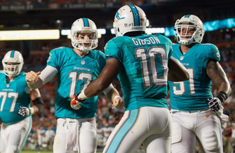 Miami Dolphins Wallpaper Snap