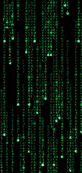 Experience The Matrix With iPhone Wallpaper