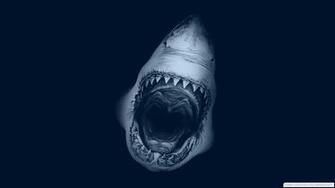 Scary HD Wallpaper Pictures Image