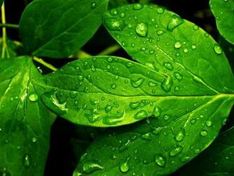 Refresh Wallpaper Stock Photos