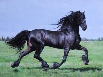 Friesian At Liberty By Ink Dreamsmmix