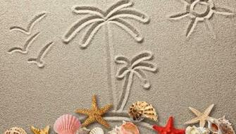 Drawing Figure Sand Starfish Texture Seashells Shells