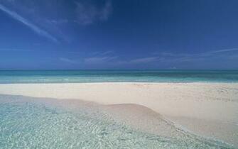 Hawaii Beach Horizon Wallpaper Stock Photos