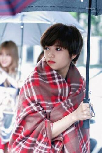 Jeongyeon Twice Image HD Wallpaper And