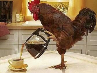 Funny Good Morning Wallpaper Sweet